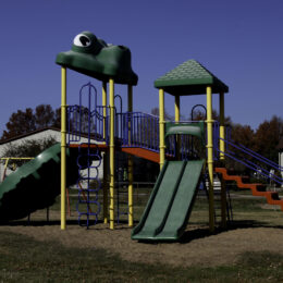 Harrison - Bruce park play sets