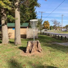 Pharaoh's Way Disc Golf basket in tree stump