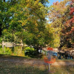 Pharaoh's Way Disc Golf Basket next to pond