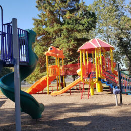 Ray Fosse Park Play set