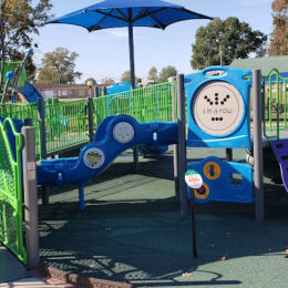 Ray Fosse Park Inclusive Park