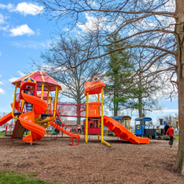 Ray Fosse Park play set